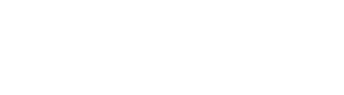 Logo INTECAP